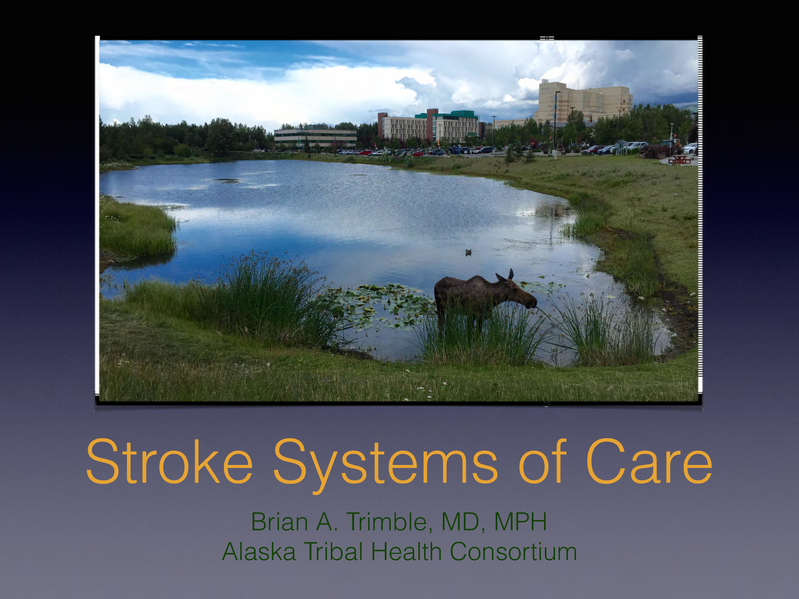 File:Alaska Stroke Systems of Care 7.29.17.pdf