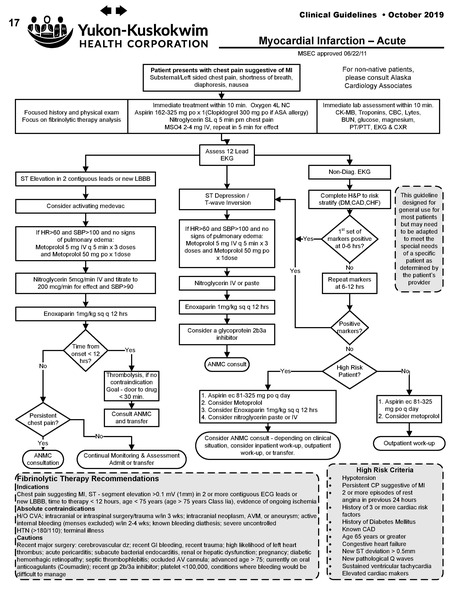 File:2011-06-22 YKHC Myocardial Infarction.pdf