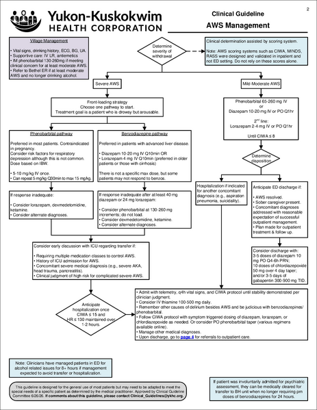 File:AlcoholWithdrawal.pdf
