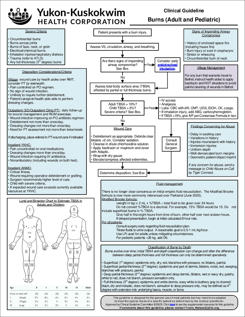 Burns Guideline.pdf